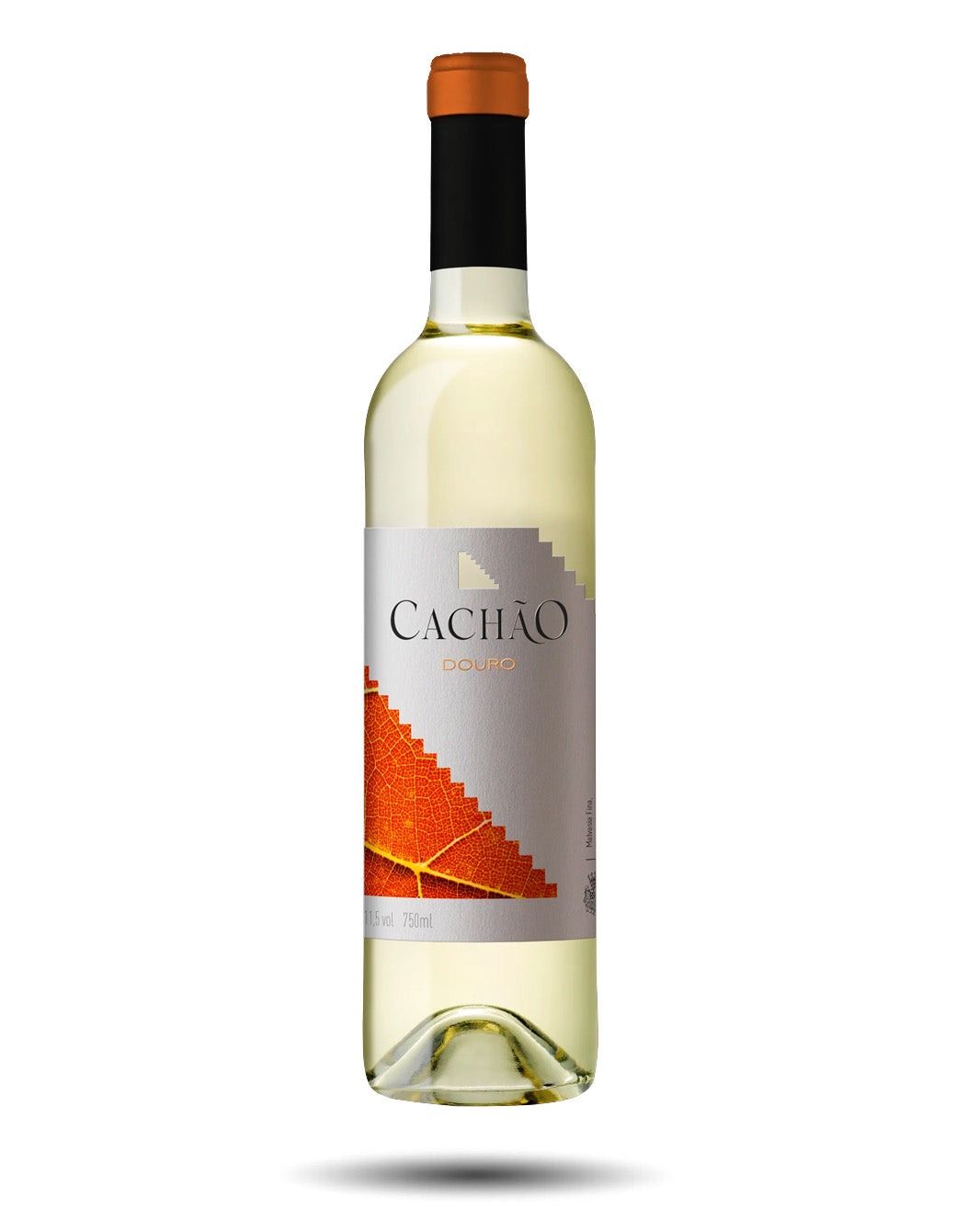 BRIXTON CAVAVIN